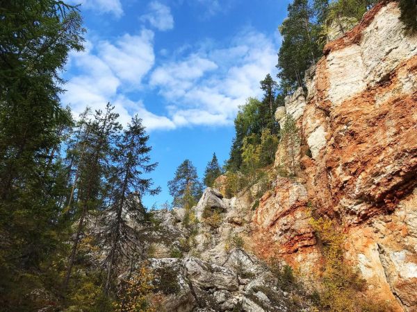 Экскурсия из Архангельска в Пинежский заповедник