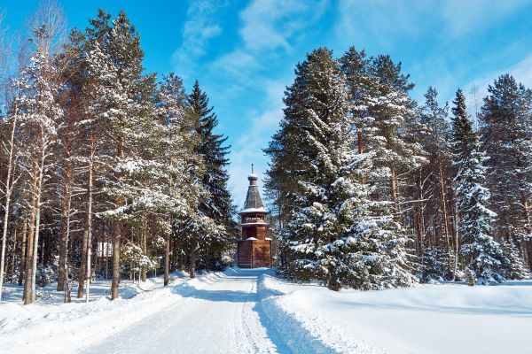Тур в Архангельск на 3 дня и охота за северным сиянием