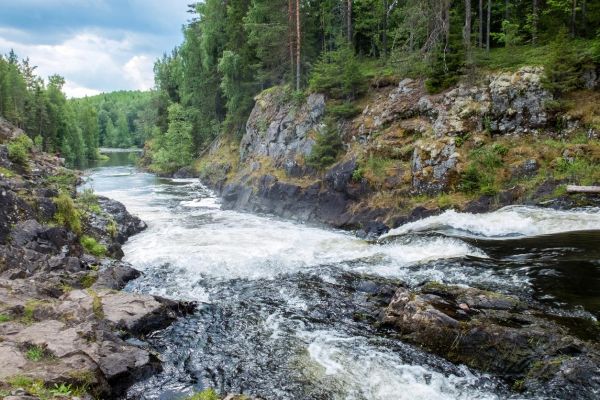 Экскурсия на водопад Кивач и органный концерт в Кондопоге