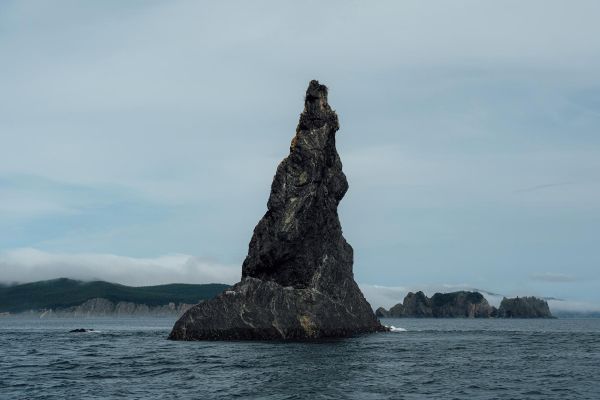 Тур к китам бухты Врангеля на 9 дней из Хабаровска