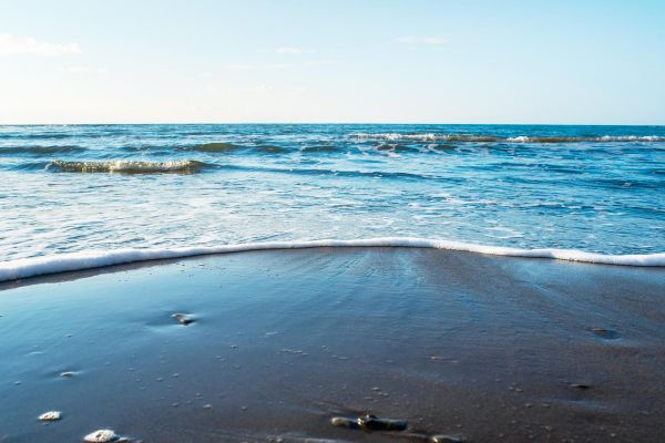 Рыбалка в Ныйском заливе: тур на Сахалин на 10 дней