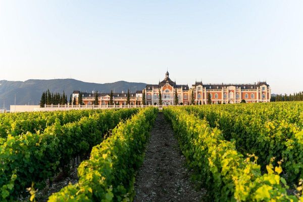 Экскурсия с дегустацией по винодельне Château de Talu