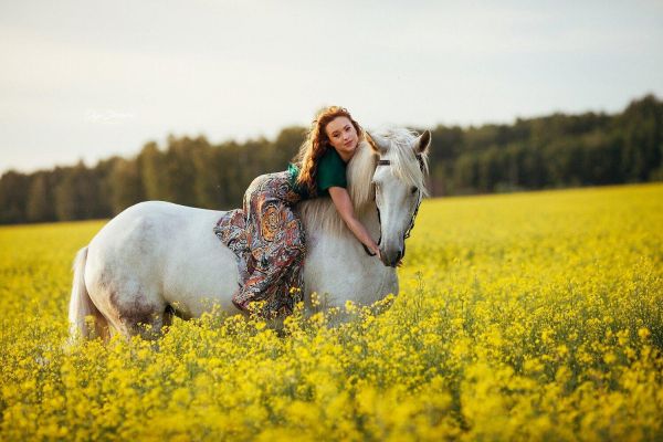 Фотосессия с лошадьми на конезаводе «Медведки»