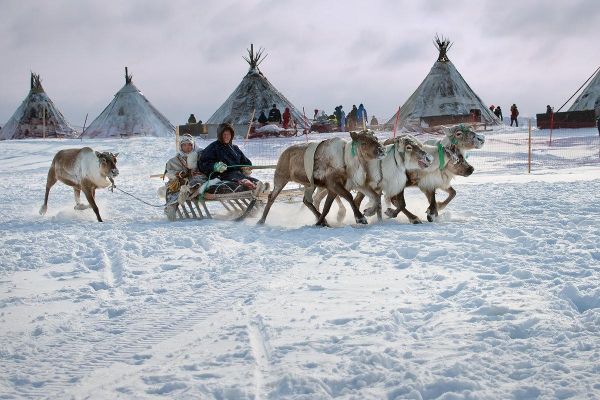 В гости к народам Севера