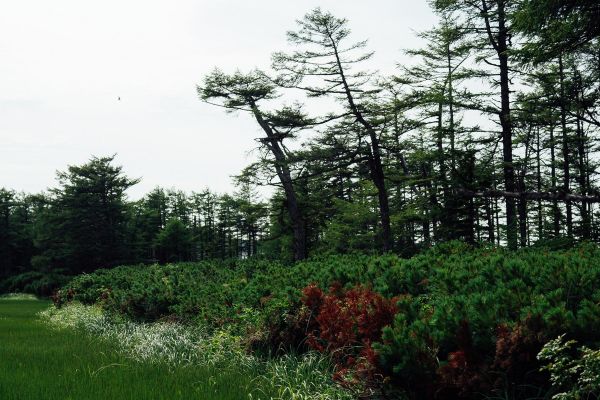 Тур к китам бухты Врангеля на 9 дней из Хабаровска