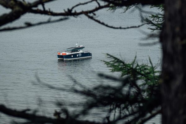 Тур к китам бухты Врангеля на 9 дней из Хабаровска