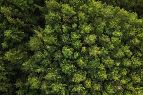 Тур в Хабаровский край на 7 дней: тюлени, шаманы, рыбалка