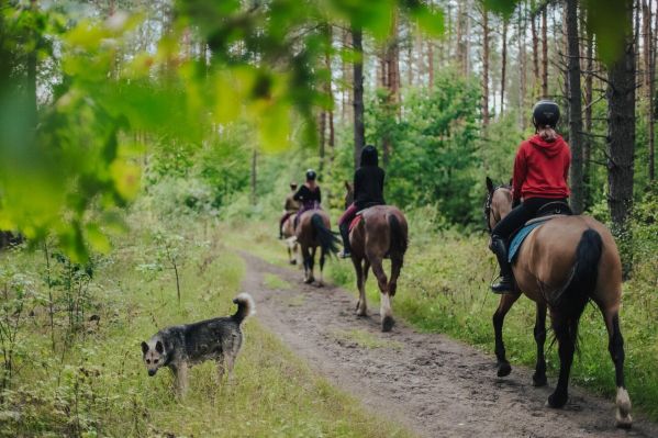 Детские занятия в конном лагере «Казачок»