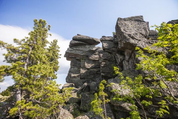 Пешая экскурсия к скалам Верблюды и на гору Курган