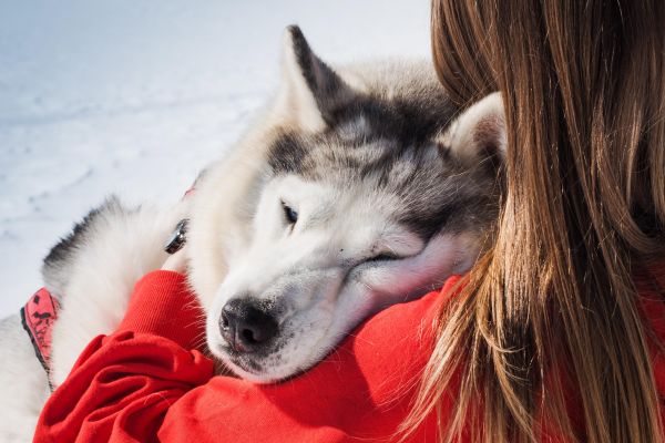 Посещение парка активного отдыха «Северное сияние»