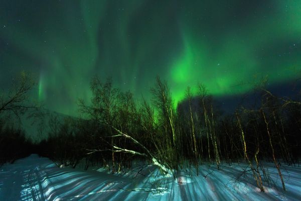 Тур за северным сиянием на Кольском полуострове на 5 дней