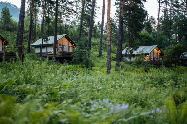 Глэмпинг «Чепош Парк»