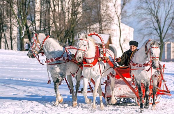 Прогулка по Суздалю в конном экипаже