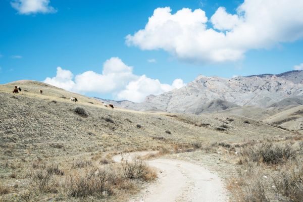 Вип-тур в Тыву на 5 дней: Долина Царей, шаманы и вертолет