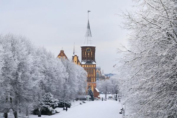 Цикличный тур в Калининград с экскурсиями на выбор