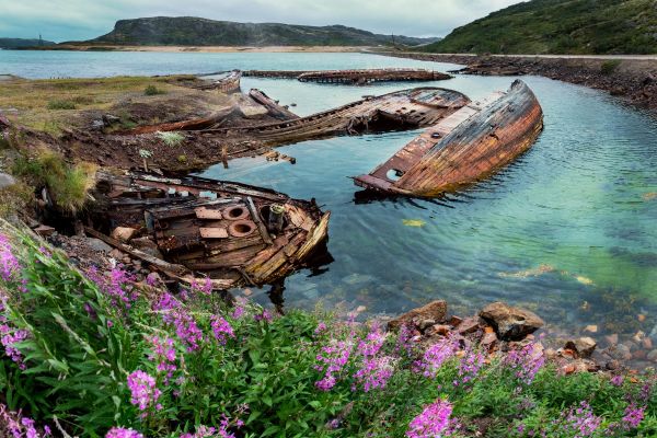 Семейный тур в Териберку на 5 дней с природными экскурсиями