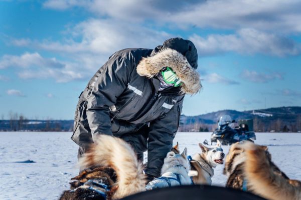 Катание на снегоходах и собачьих упряжках в окрестностях горы Мамай