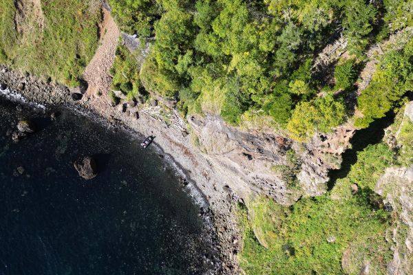 Тур в Хабаровский край на 7 дней: тюлени, шаманы, рыбалка