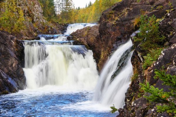 Экскурсия на водопад Кивач и органный концерт в Кондопоге