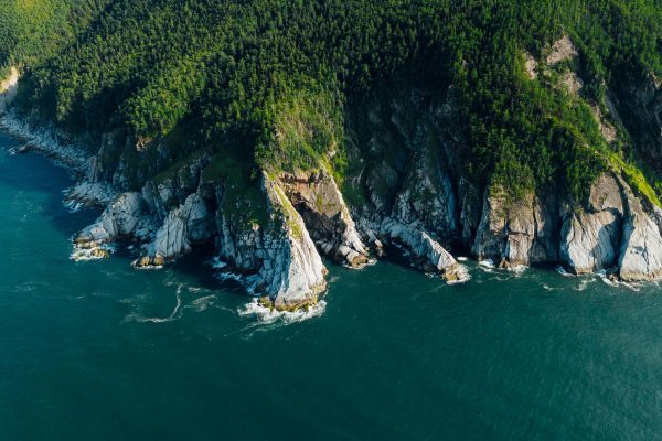 Тур к китам бухты Врангеля на 9 дней из Хабаровска