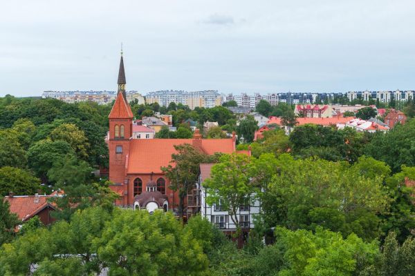 Музей кошек, сыроварня, замки: детская экскурсия из Калининграда в Зеленоградск