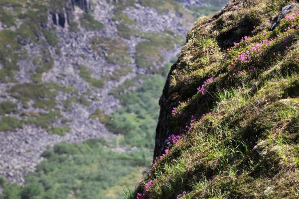 Фототур в горы Дуссе-Алиня на 9 дней с экскурсиями и походами