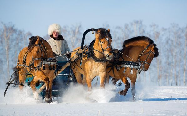 В Суздаль всей семьей!