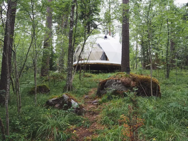 Отель Hills & Huts