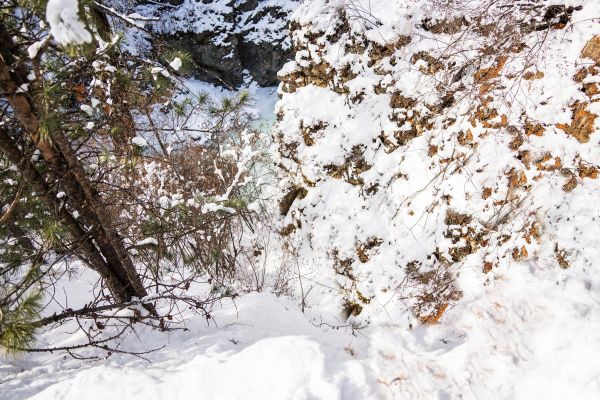 Экскурсия в Дургенский каньон из Кызыла